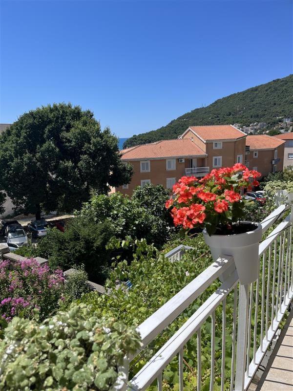 Apartmani Neda Bane Petrovac 외부 사진