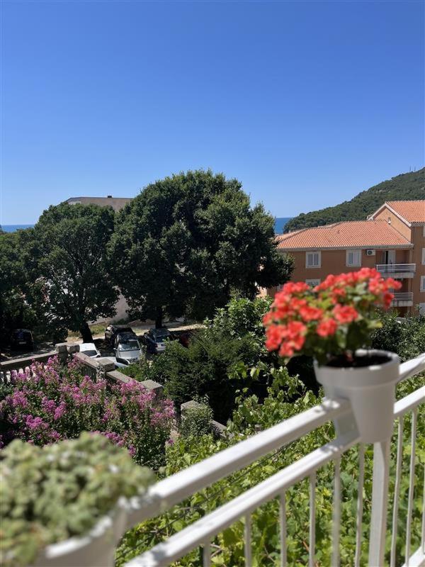 Apartmani Neda Bane Petrovac 외부 사진