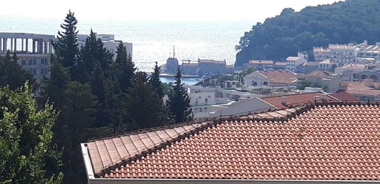Apartmani Neda Bane Petrovac 외부 사진